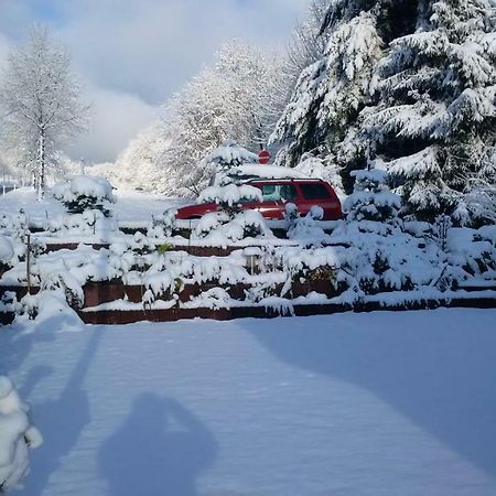 Ferienhaus Rosemarie Breungeshain Bagian luar foto