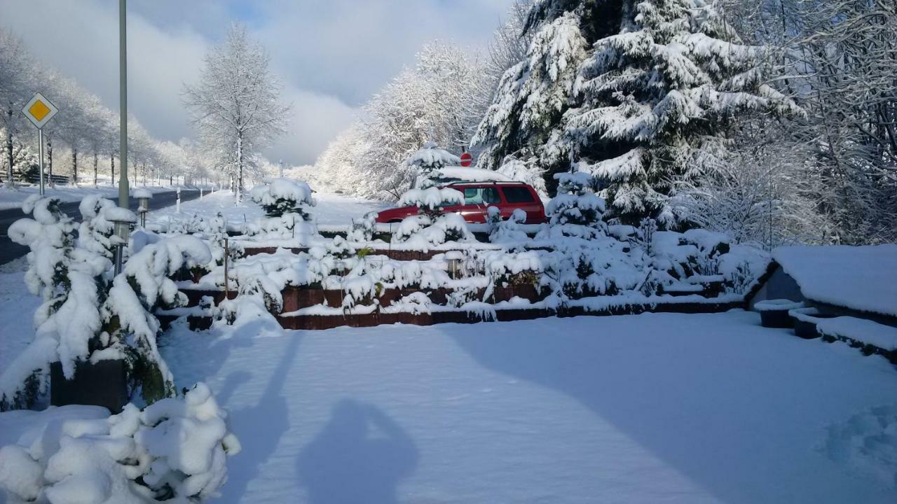 Ferienhaus Rosemarie Breungeshain Bagian luar foto